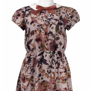 WALTER BAKER W118 Peter Pan Collar Chiffon Flare Dress in Size small